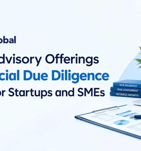 financial due diligence services for startups and smes